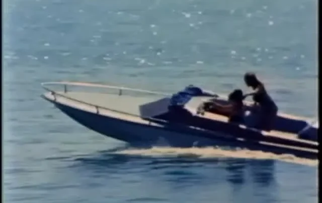 Skin Deep (1982)