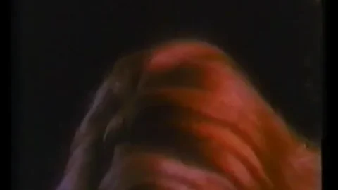 Sinfonia di una vergine (1990’s)