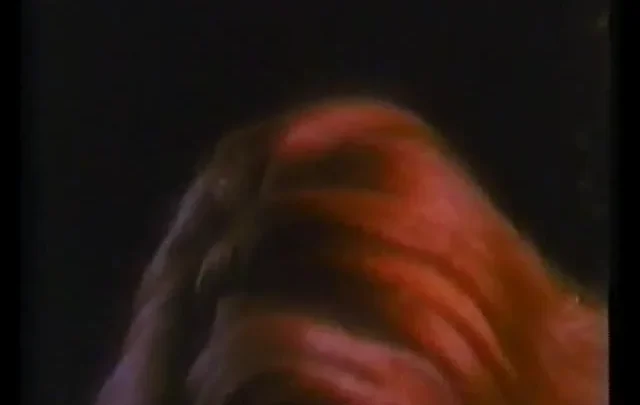 Sinfonia di una vergine (1990’s)