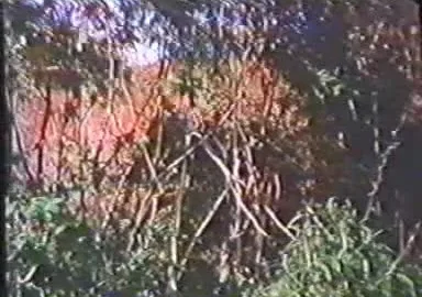 A Quinta Dimensao do Sexo (1984)