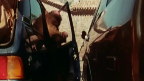 Anna cuisses entrouvertes (1979)