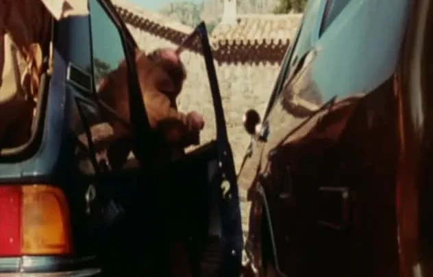 Anna cuisses entrouvertes (1979)