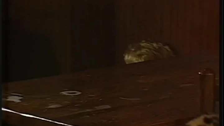 Belles De Reve (1983)