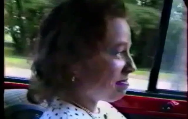 Les aventures érotiques de Lily Pute (1988)
