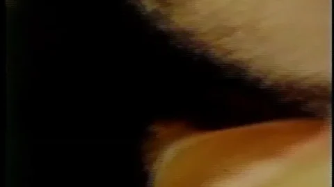 Gina the Foxy Chick (1974)