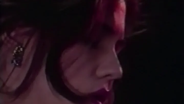 Tales from the Chateau