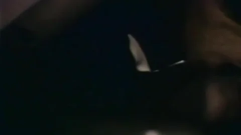 Too Hot To Handle (1975)