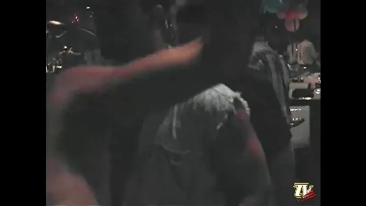 As Panteras A Festa Continua