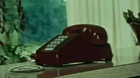 The Seduction of Lynn Carter