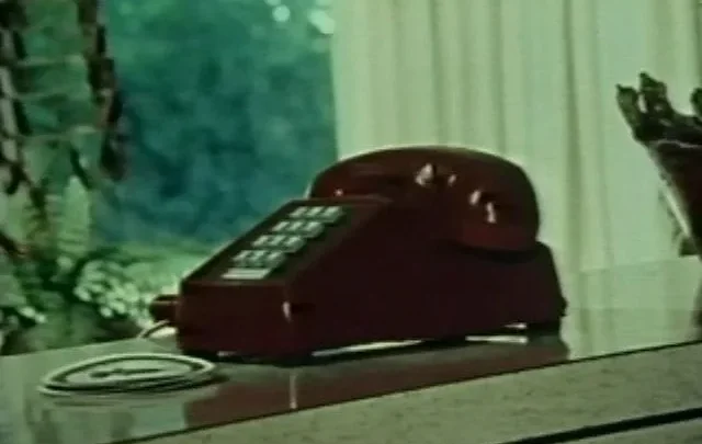 The Seduction of Lynn Carter