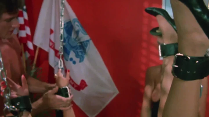 Naughty Network (1981) (FullHDRip)