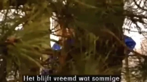 Teeny Exzesse 19: Süsse Pussies, Heisses Sperma (1992)