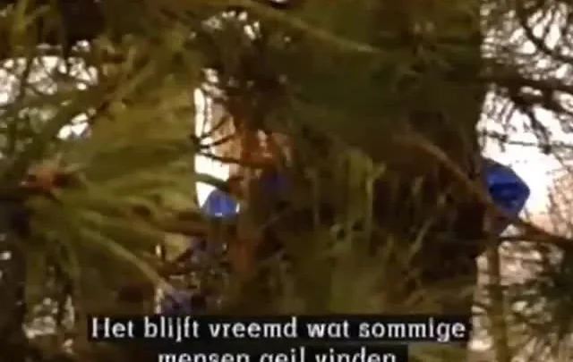 Teeny Exzesse 19: Süsse Pussies, Heisses Sperma (1992)