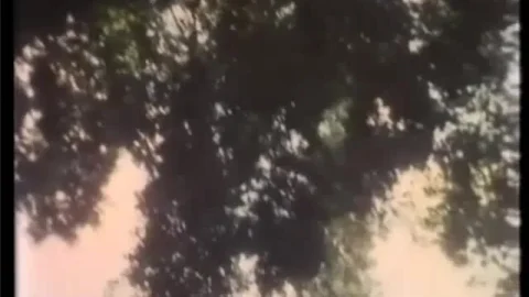 Affamata … e non solo (1990)