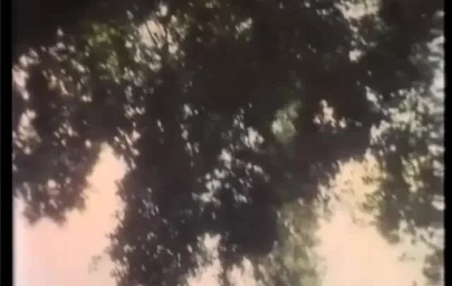 Affamata … e non solo (1990)
