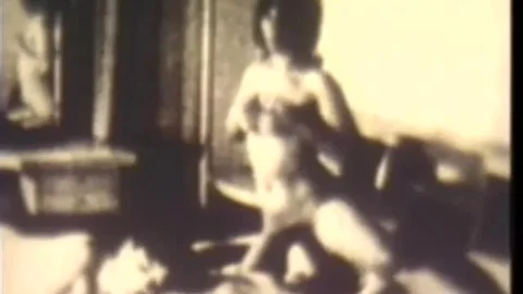 Supersonic Sex Bash (1970’s)