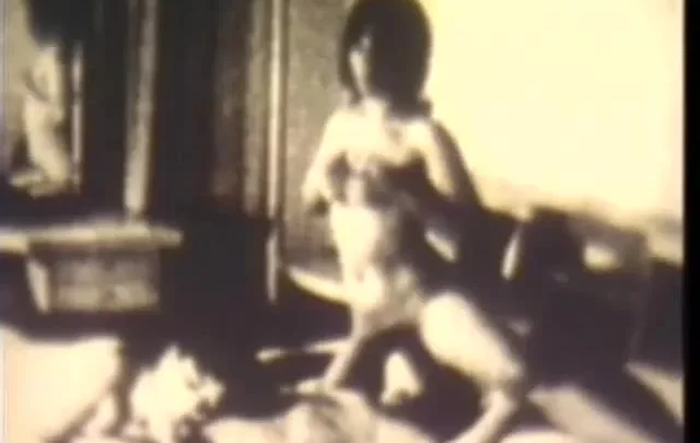 Supersonic Sex Bash (1970’s)