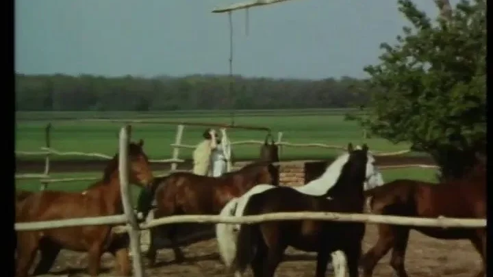Josefine Mutzenbacher – Wie sie wirklich war: 2. Teil (1976) (Better Quality)