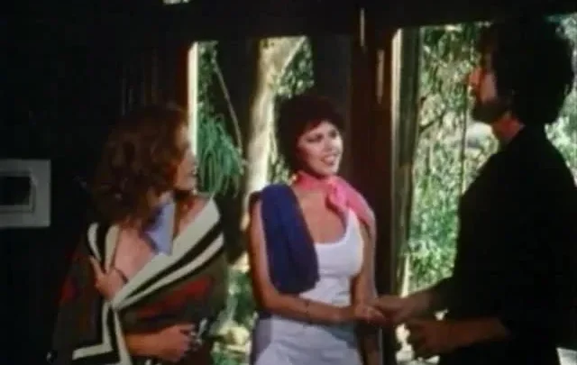 Lisa Deleeuw Screws The Stars (1970-80’s)