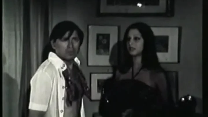 Exi diestrammenes zitoun dolofono (1976)
