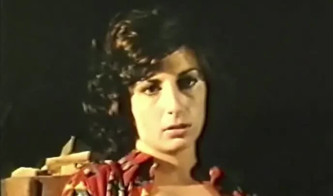 Cameriera senza… malizia (1980)