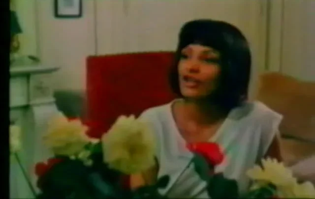 Embrochez-moi par les deux trous (1981)