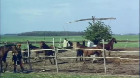 Josefine Mutzenbacher – Wie sie wirklich war: 2. Teil (DVDRip) (1976)
