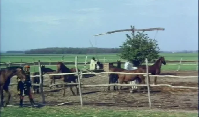 Josefine Mutzenbacher – Wie sie wirklich war: 2. Teil (DVDRip) (1976)