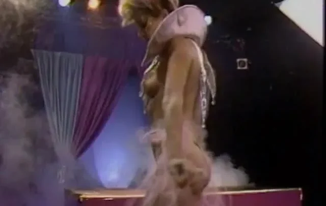 Ginger Lynn Non Stop (1980-90’s)