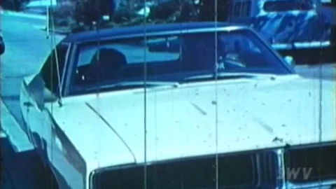 Journal of Love (1971)