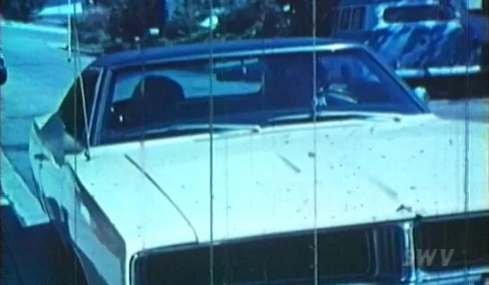 Journal of Love (1971)