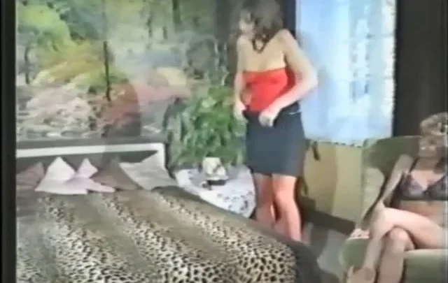 Sex Sklavin Silvia: On Tape (1990)