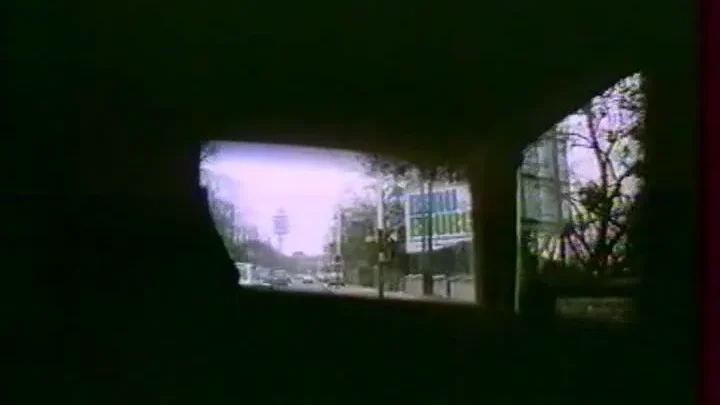 Furia erotica (1982)