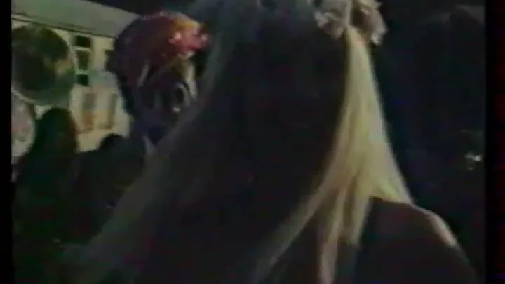 Cicciolina honorable putain (1984)