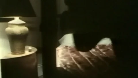 Porno Superstars of the 70s Jennifer West Collection