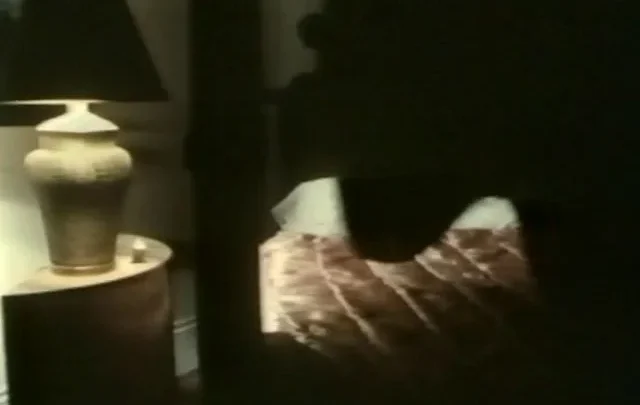 Porno Superstars of the 70s Jennifer West Collection